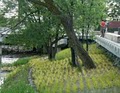 Landscape Architecture Bureau [LAB], llc image 2